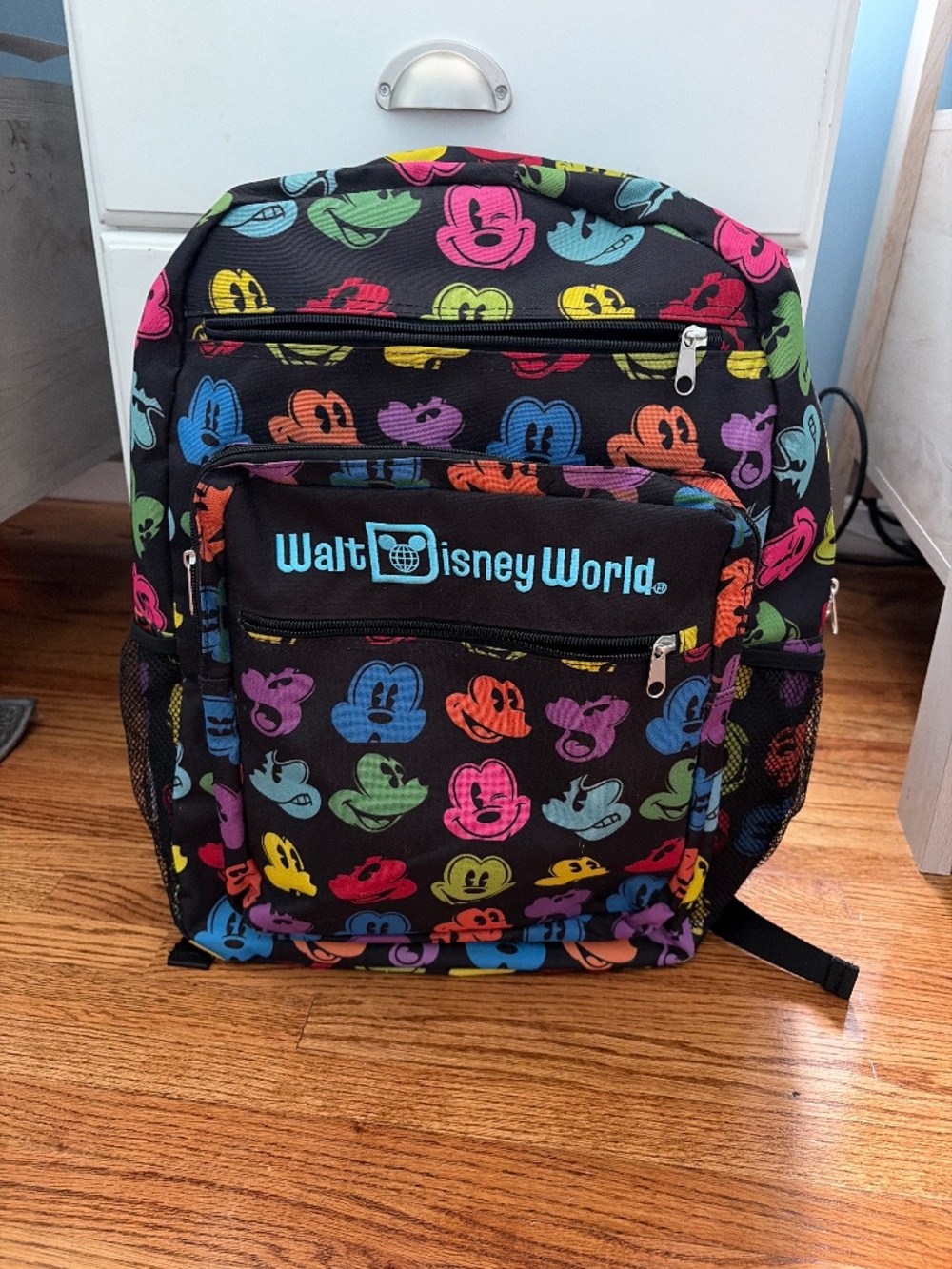 Disney Backpack!